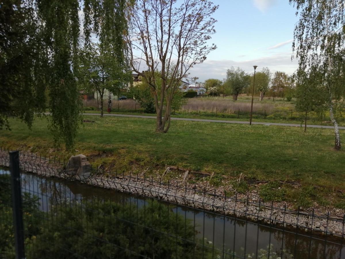Apartamenty Przy Rynku Znin Bagian luar foto